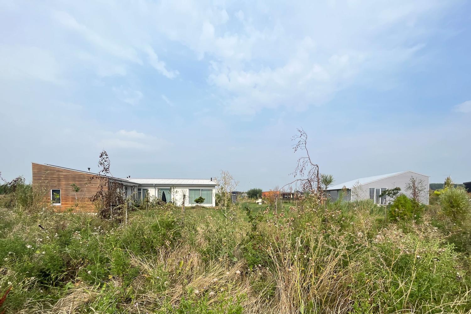 DIY Art Shed facing its shared rural garden