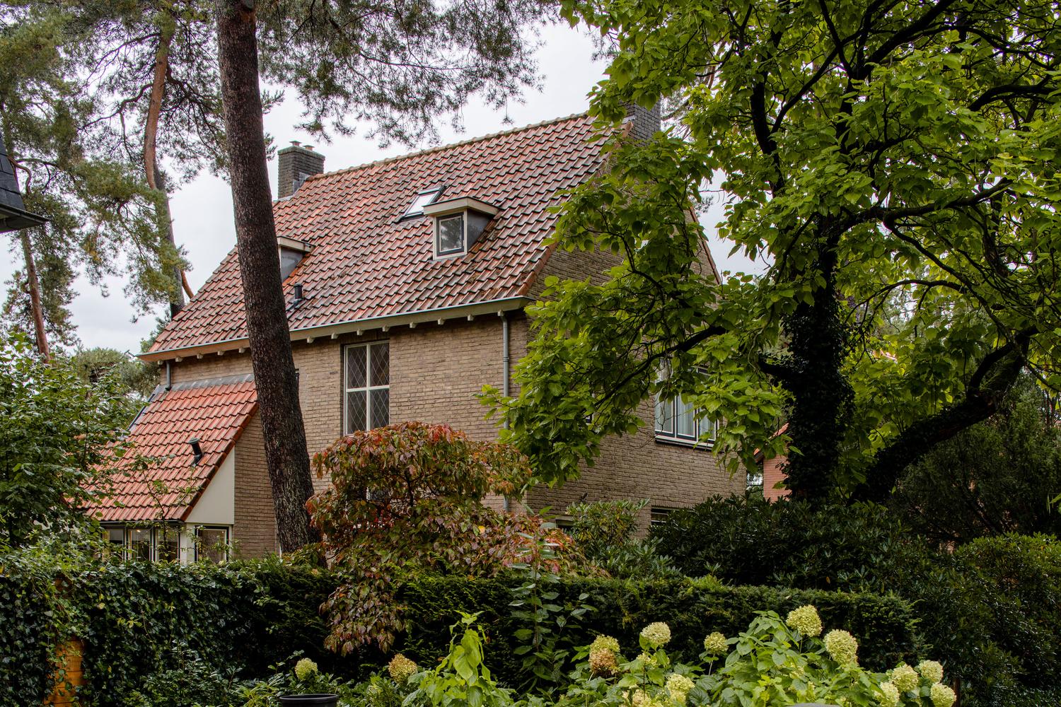Going Green, Seeing Yellow house among mature trees
