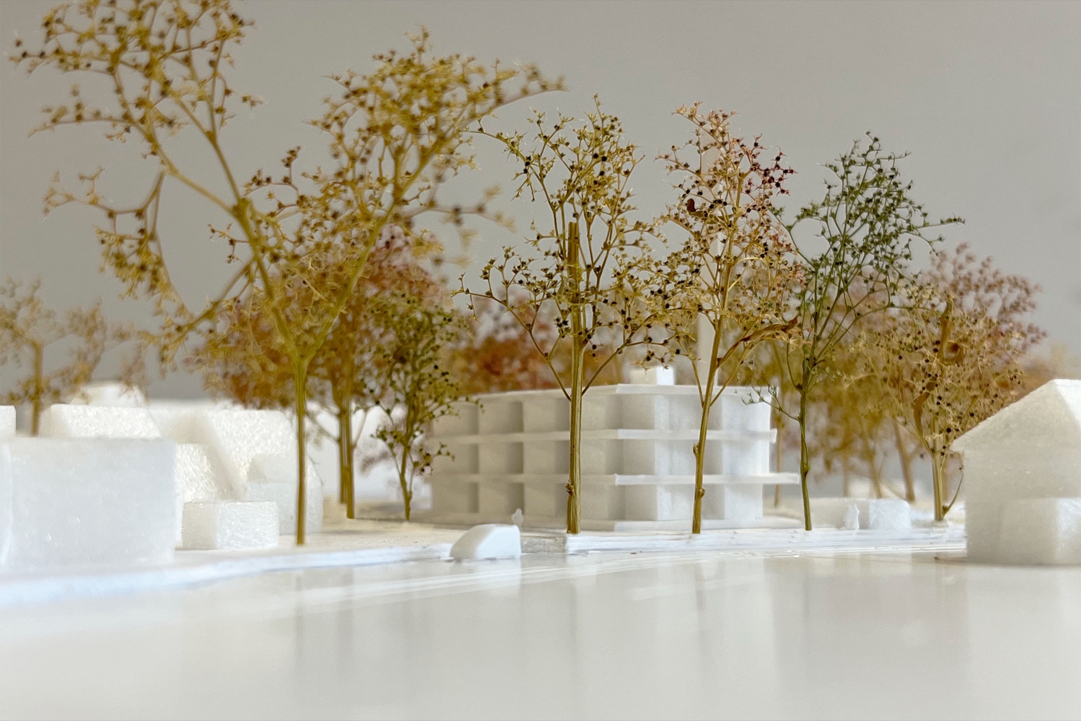 Housing study set within a forest in Zeist